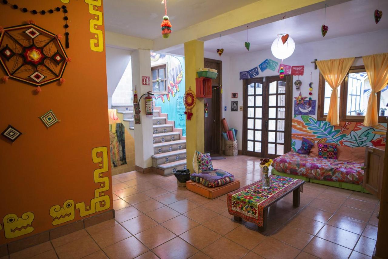 Hostal La Isla San Cristóbal de Las Casas Eksteriør billede